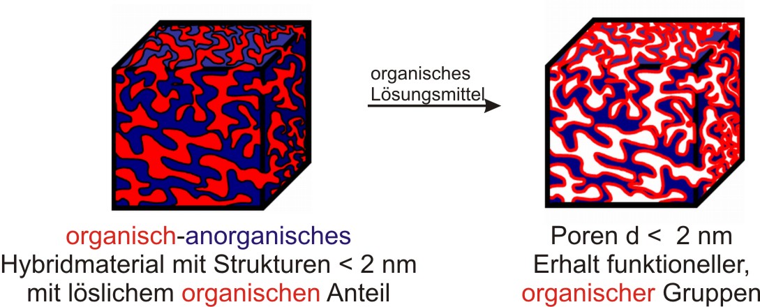 schematische Darstellung nanostrukturierten Hybridmaterials