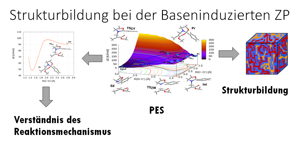 Strukturbildung bei der baseninduzierten Zwillingspolymerisation